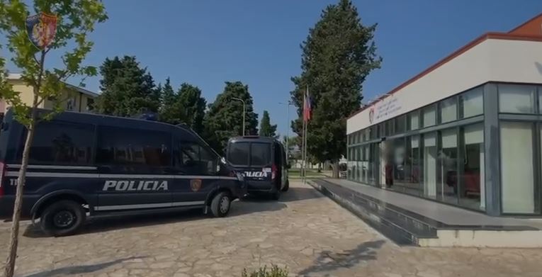 Kultivonin kanabis si grup i strukturuar/ Ekzekutohen masat e sigurisë për 12 persona në Shkodër