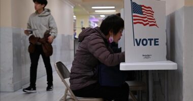 Senatori demokrat: Trump mund t’i fitojë zgjedhjet me diferencë të madhe