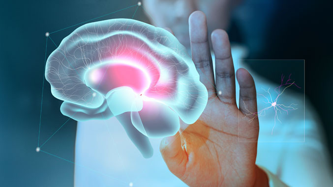 Neuralink i Musk është duke punuar për një pajisje të re të implantit të trurit
