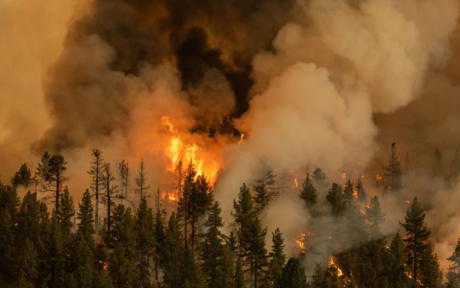 Rusia shpall gjendjen e jashtëzakonshme në dy rajone për shkak të zjarreve