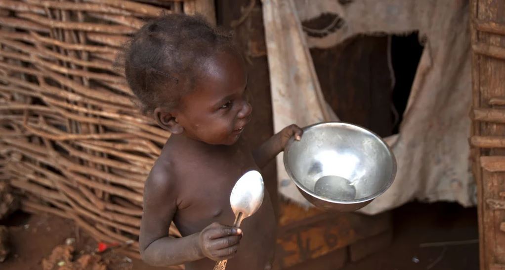 OKB: Një në 11 njerëz në mbarë botën do të përballet me urinë në vitin 2023