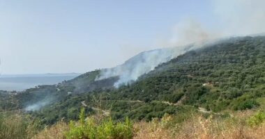 VIDEO/ Radhimë, digjen sipërfaqe me kullote, forcat zjarrfikëse në vendngjarje