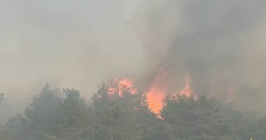 Situata kritike në Maliq, ushtria dhe zjarrfikësit në luftë me flakët