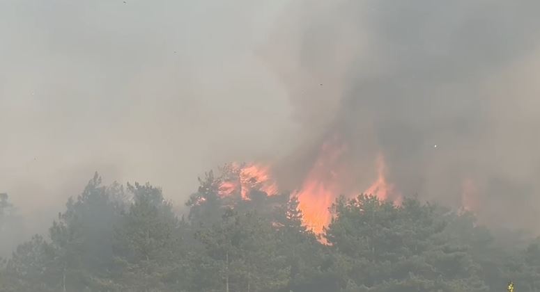 Situata kritike në Maliq, ushtria dhe zjarrfikësit në luftë me flakët