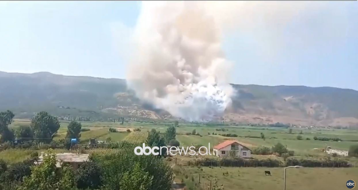 VIDEO/ Zjarr në Lezhë, rrezikohen banesat, flakët përhapen me shpejtësi nga era