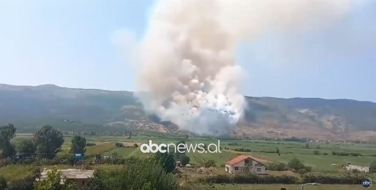 Situata nga zjarret në Lezhë/ Rrezikohen banesat, vatra në malin e Rrencit, mes fshatrave Mamlecaj e Koljakaj