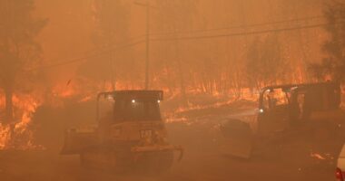 Në Shëngjin, flakët jashtë kontrollit/ Evakuohen banorët dhe pushuesit nga Rana e Hedhun, ndërhyrje nga ajri