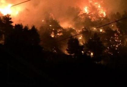 Nën “pushtimin” e flakëve, si paraqitet situata e zjarreve në Has dhe Tropojë