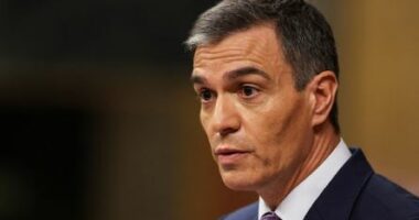 Kryeministri spanjoll do të vizitojë vendet afrikane në një përpjekje për të reduktuar fluksin e emigrantëve