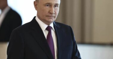 Putin: Forcat ukrainase u përpoqën të sulmonin termocentralin bërthamor Kursk