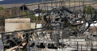 Hawaii/ Arrihet marrëveshja prej 4 miliardë dollarësh për të prekurit nga zjarret