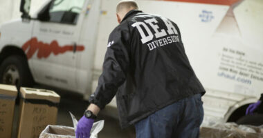 SHBA/ Sekuestrohen mbi 1 mijë kilogramë metamfetaminë e fshehur në selino