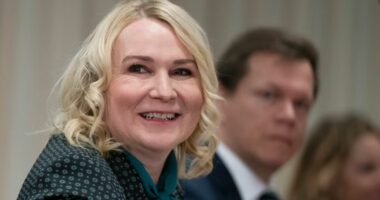 Republika Çeke do të blejë municione për Ukrainën me interesin e aseteve të ngrira ruse