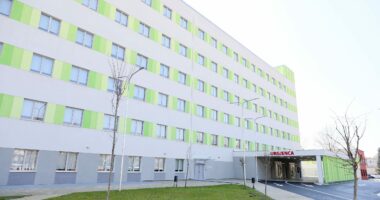 Goditi infermierin në spitalin “Nënë Tereza”, arrestohet 23 vjeçari në Tiranë