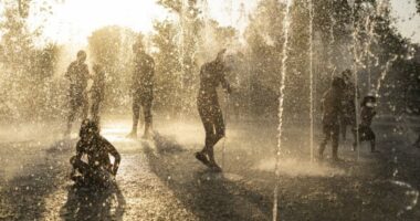 Zvicër, regjistrohet gushti i dytë më i nxehtë që prej vitit 1864