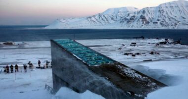 Rusia me përqasje ‘hibride’ për të shtuar praninë në Arktik