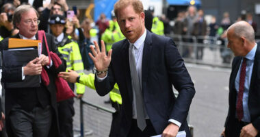 Princi Harry do të humbasë funeralin e Lord Fellowes pasi ka frikë për sigurinë e tij