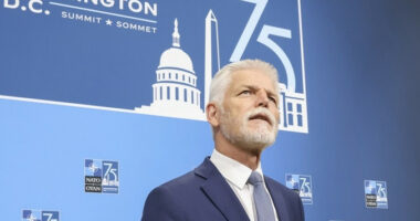 Presidenti i Republikës Çeke: Ka disa opsione për t’i dhënë fund luftës në Ukrainë