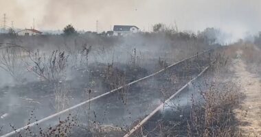 VIDEO/ Zjarri në Lezhë, digjet traseja e linjës hekurudhore Shkodër-Lezhë