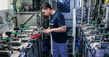 Gjermani/ Të huajt, të domosdoshëm për ekonominë gjermanolindore