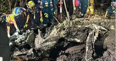 Avioni bie në mes të xhunglës, nuk ka të mbijetuar