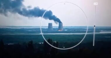 Ekspertët të shqetësuar mbi sigurinë e centralit bërthamor të Zaporizhias