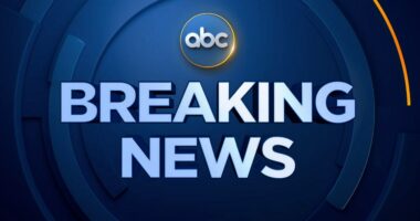 Operacioni “Aktiviteti”/ U arrestua pasi u kap me drogë, pezullohet nga detyra zjarrfikësi 54-vjeçar