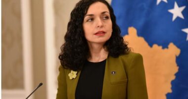 Incident diplomatik në Shkup për Vjosa Osmanin/ Stafi i Aeroportit tenton t’i marrë telefonin dhe çantën