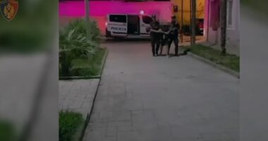 Dogji një automjet në Vlorë, pranga autorit të dyshuar