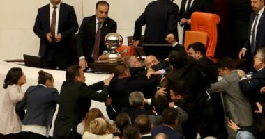 VIDEO/ Parlamenti turk kthehet në “arenë boksi”, deputetët përleshen fizikisht