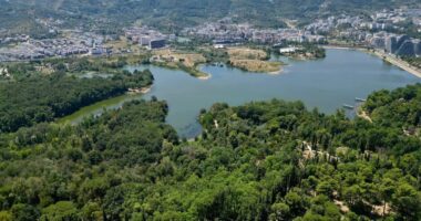 Rama ndan foto të veçanta nga Parku i Madh: Oazi i qetë i Tiranës sonë