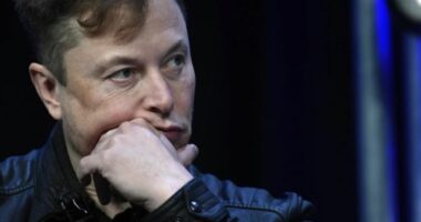 Brazili ultimatum Elon Musk të mbyllë X brenda 24 orëve