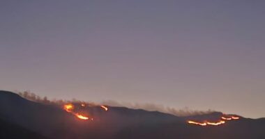 VIDEO/ Zjarri rrezikon zonën e mbrojtur të Parkut Kombëtar të Prespës
