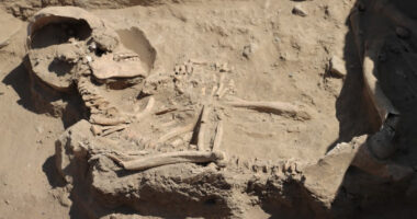 Arkeologët peruan zbulojnë varrin e lashtë 3800-vjeçar