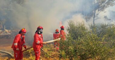 Zjarret në vend/ Ministria e Mbrojtjes: 12 vatra zjarri ende aktive, ja zonat më problematike