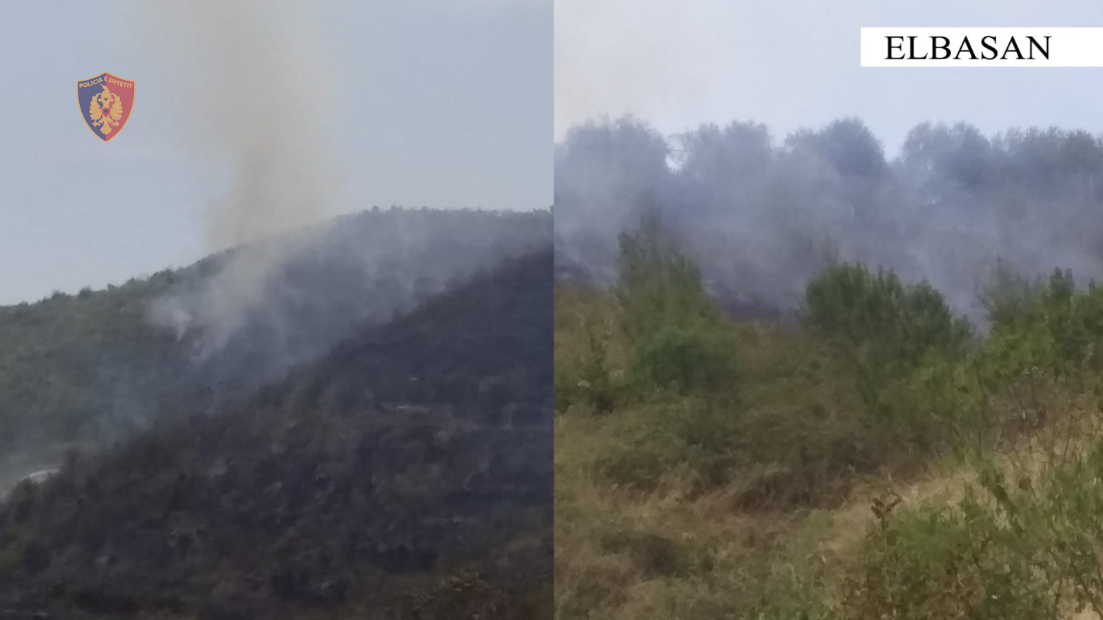 Dogji sipërfaqe me pemë dhe ullinj, procedohet i moshuari në Elbasan