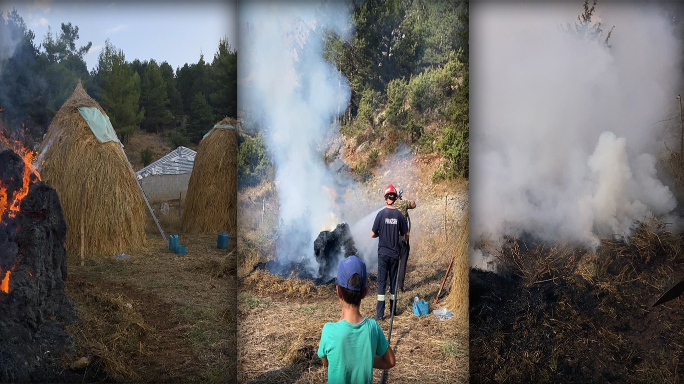 Zjarr në një sipërfaqe në Leskovik, zjarrfikësit lokalizojnë flakët që rrezikonin stallat e bagëtive