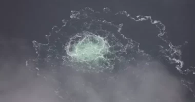 Sabotimi i gazsjellësit Nord Stream/ Gjermania lëshoi urdhër arrest për zhytësin ukrainas, Ukraina mohon përfshirjen