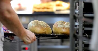 Mbyllet një furrë buke në Prishtinë, dyshohet se u helmuan rreth 20 persona