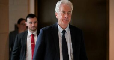 Drejtori i CIA-s, Burns mbërrin për vizitë në Sarajevë