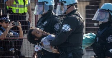 Çikago/ Protestuesit pro-palestinezë përleshen me policinë pranë konsullatës izraelite