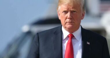 Trump: Do të votoj kundër amendamentit të abortit në Florida