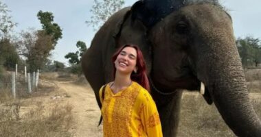 Dua Lipa ndan fotot nga vizita në Indi, çfarë paralajmëron këngëtarja shqiptare