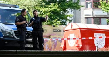 Sulmi me thikë në Gjermani/ Dorëzohet i riu sirian, hetohen lidhjet me ISIS-in