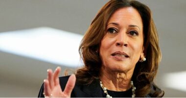 Gara presidenciale në SHBA/ Sondazhi: Kamala Harris kryeson me 5 pikë më shumë se Donald Trump