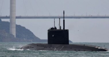 Ukraina fundos nëndetësen ruse në Krime