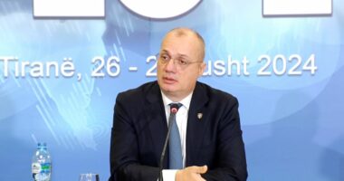 “Ura mbi Ibër”, Hasani: Kosova të konsultohet me ata që i dhanë lirinë