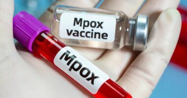 Tajlanda regjistron rastin e parë me linë e majmunëve