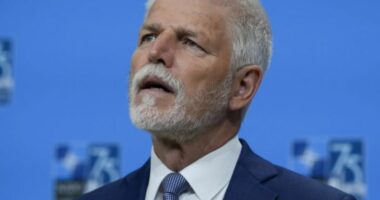 Presidenti çek: Marrëveshja e paqes mes Rusisë dhe Ukrainës ndoshta nuk do të jetë e drejtë