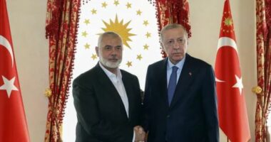 Vrasja e liderit të Hamas/ Turqia shpall të premten ditë zie kombëtare